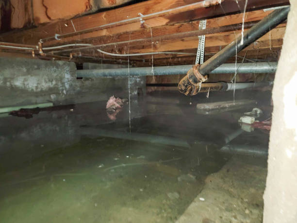 Professional Water damage restoration in Eureka, KS