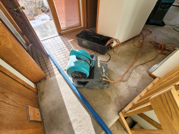 Best Local water damage restoration  in Eureka, KS